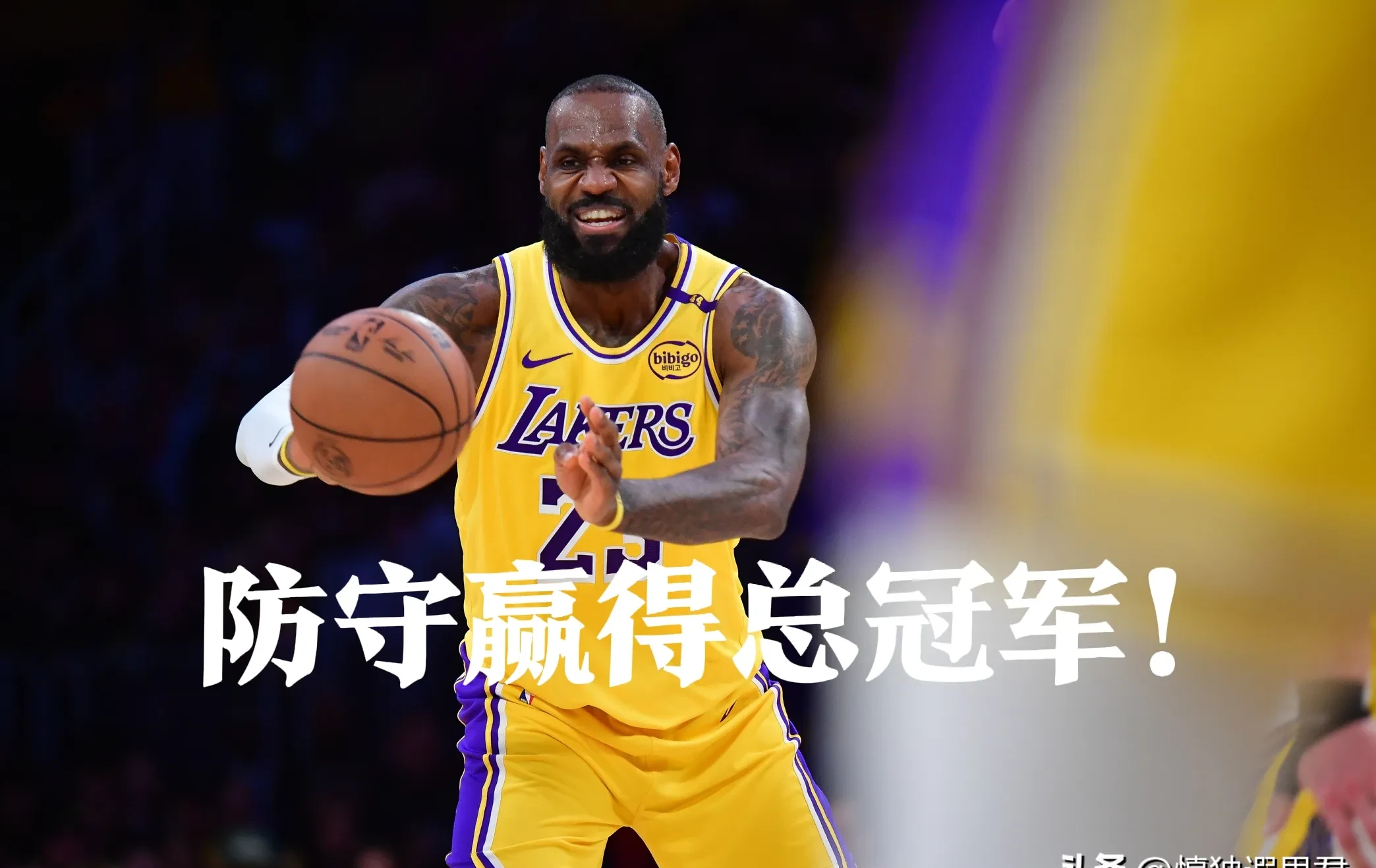 重要助攻首场状态出色，湖人观众沸腾！，詹姆斯重返赛场引发球迷热议的简单介绍