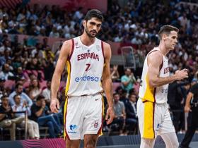 孟菲斯灰熊壁纸